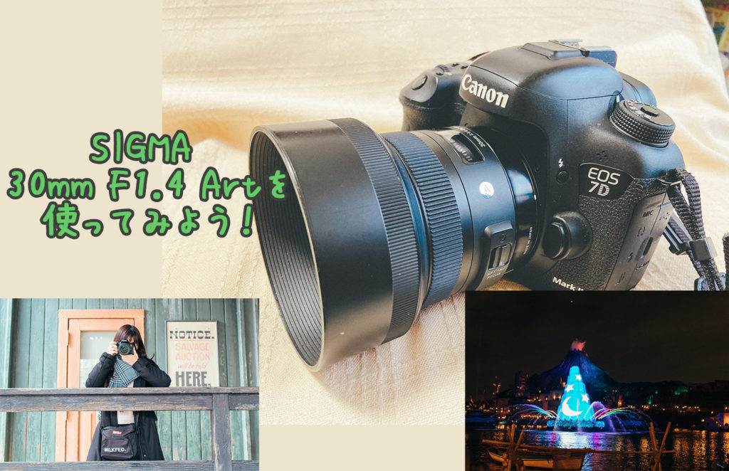SIGMA 30mm f1.4 dc hsm art Canonマウント