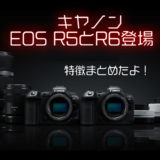 【発表！キヤノン新機種】 EOS R5とR6の特徴と値段をまとめたよ！ほしい！ 800mmの超望遠単焦点レンズ！？