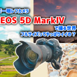 フルサイズ一眼レフカメラ EOS 5D MarkⅣ で撮る世界！ APS-Cとの違いはどうか！？