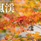 【紅葉撮影】愛知・香嵐渓は400年続く美しい渓谷！【作例紹介】