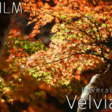 超高彩度ポジフィルム「Velvia100」作例・レビュー