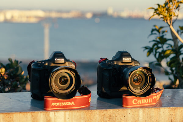 Canon EOS-1D X MarkⅡを購入しました。【念願のフラッグシップ 