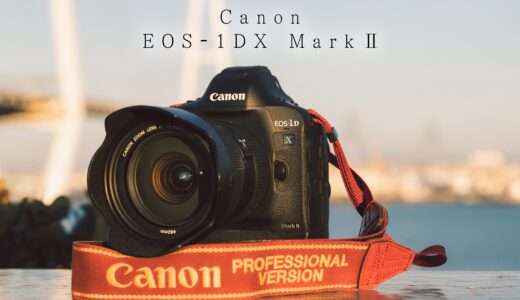 Canon EOS-1D X MarkⅡを購入しました。【念願のフラッグシップ】