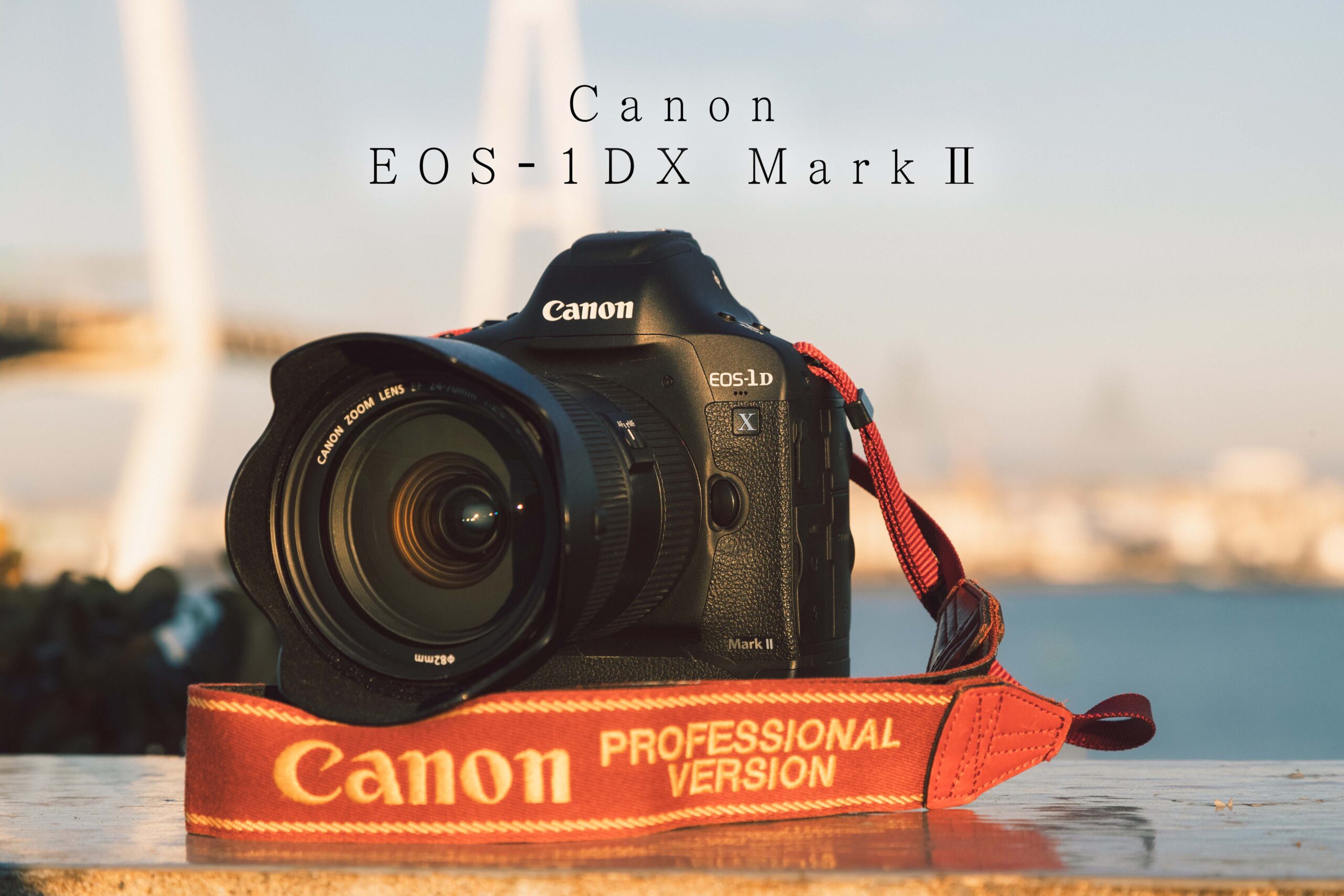 Canon 1dx mark2スマホ/家電/カメラ